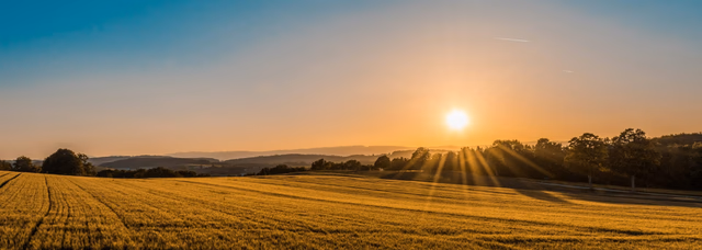 Vue aérienne de terrains à bâtir dans les Landes (40)