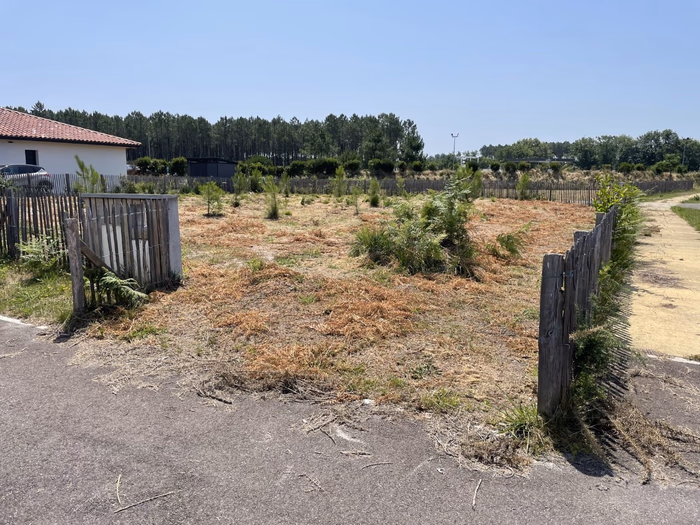 Parcelle plate en herbe sèche bordée d'une clôture en bois, avec une rue goudronnée en premier plan.