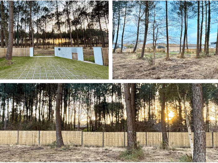 Grand terrain plat arboré de pins, délimité par une haute clôture en bois et entouré de maisons.