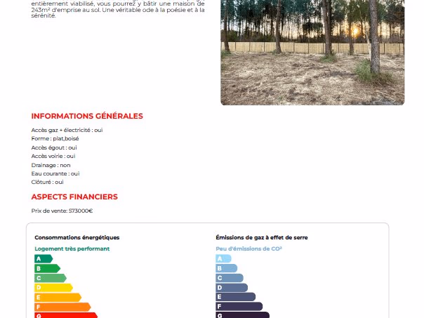 Terrain plat herbeux arboré de grands pins landais bordé par une clôture en bois et une forêt.
