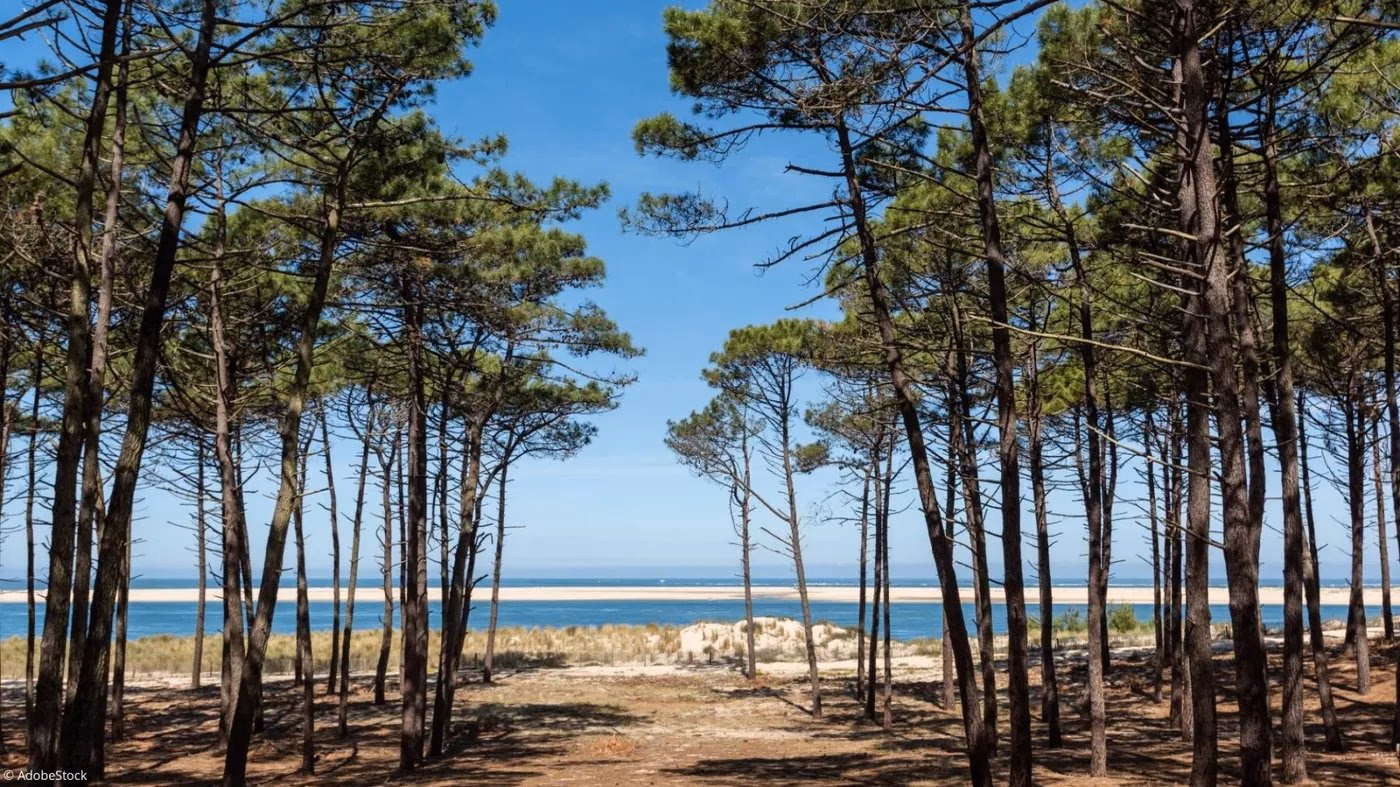 vacances-dans-les-landes