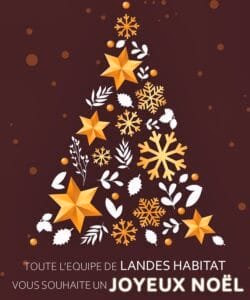 Un sapin de Noël stylisé formé d'étoiles dorées et de flocons de neige sur fond marron.