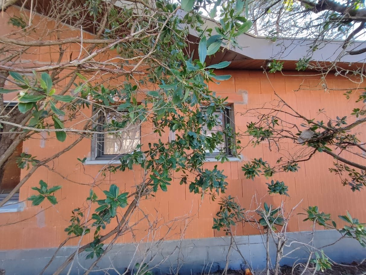 Façade en briques orange d'une maison en construction dissimulée partiellement par des branches d'arbres.