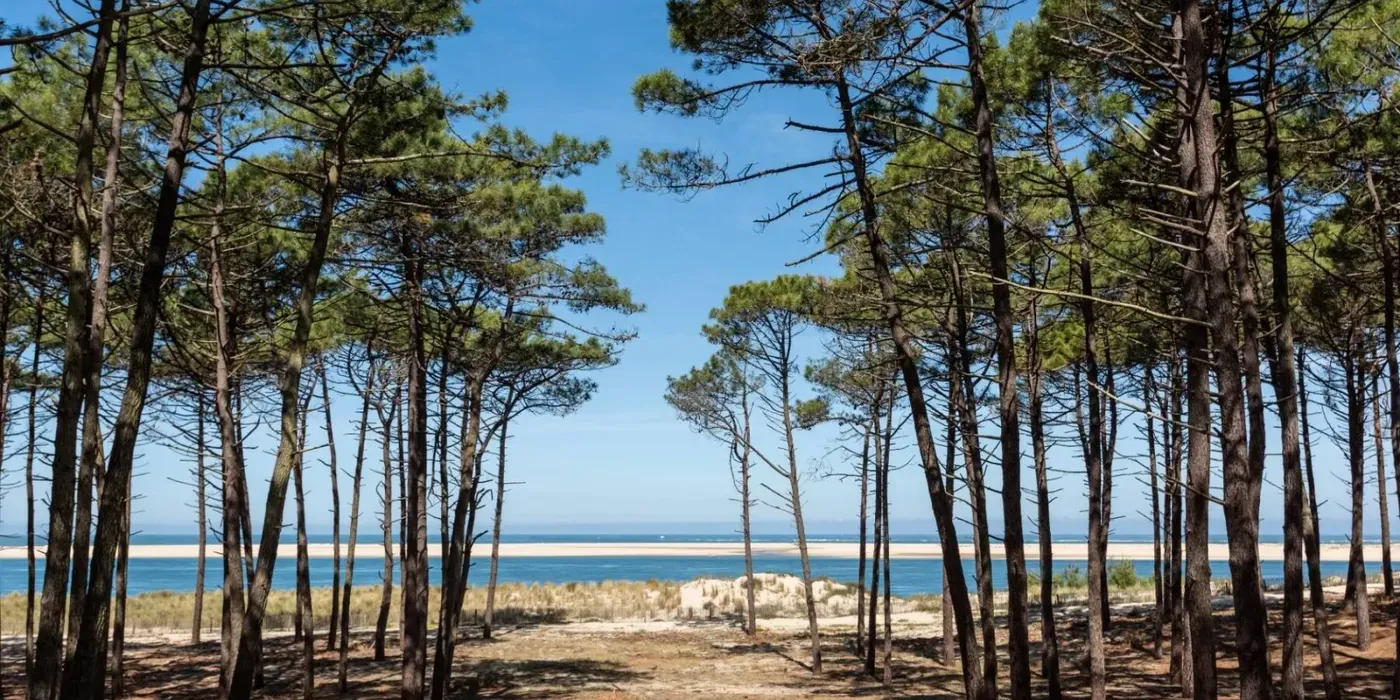 vacances-dans-les-landes
