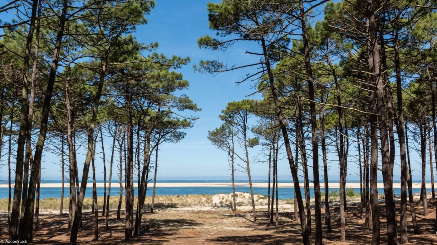 vacances-dans-les-landes